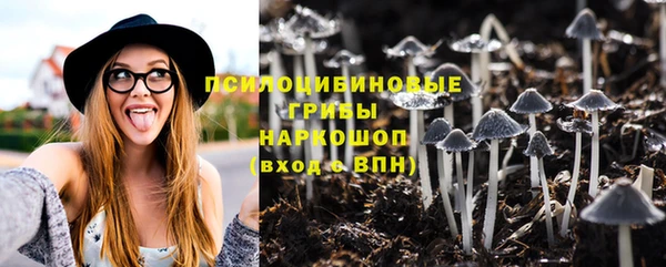 героин Алексин