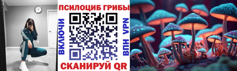 Купить где  Гороховец  Псилоцибиновые грибы Psilocybe 